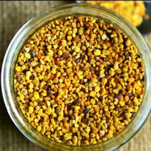 گرده گل کوهستان ایرانی چند رنگ