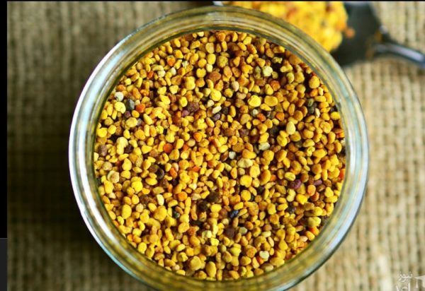 گرده گل کوهستان ایرانی چند رنگ